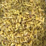 Çekirdeksiz Ozbek Üzüm Sari yesil Frenk